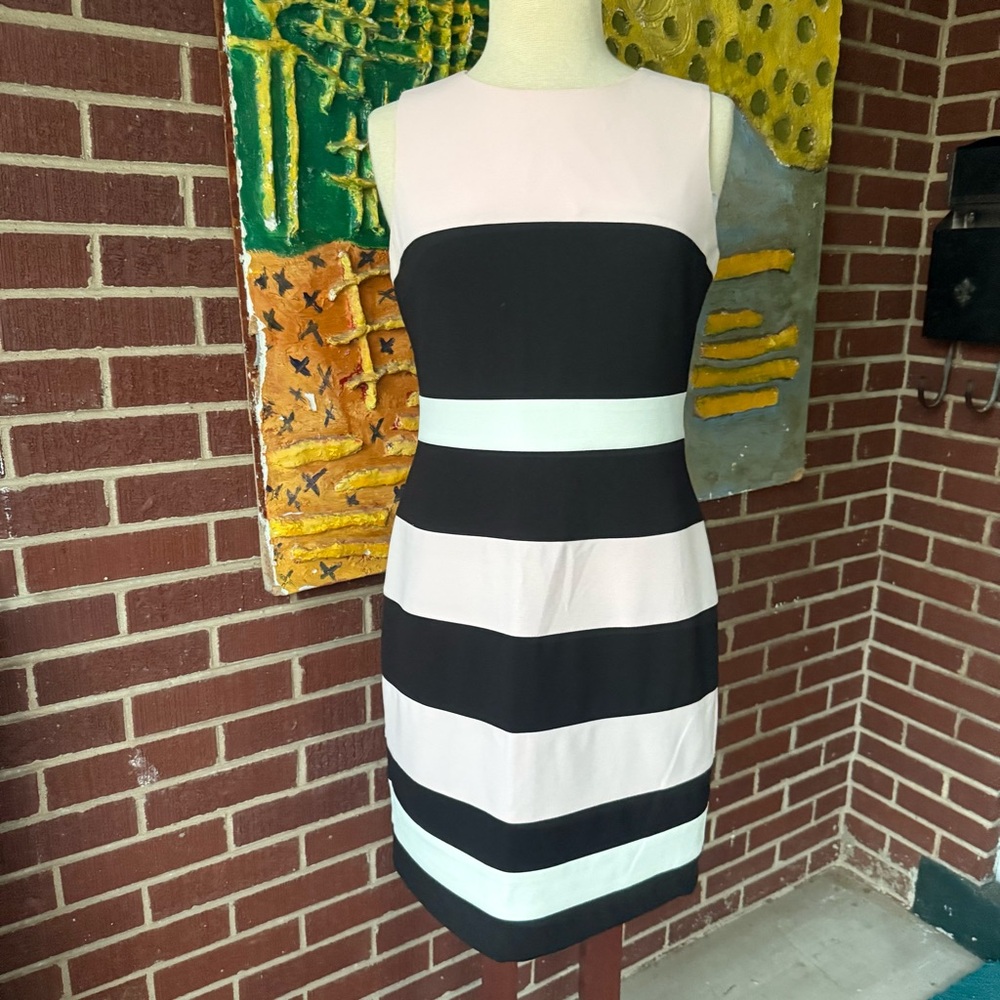 Tommy Hilfiger Black and Pink Striped Dress